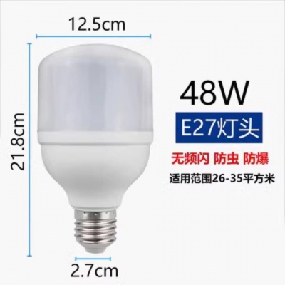 48W 燈泡