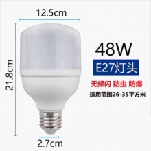 48W 燈泡